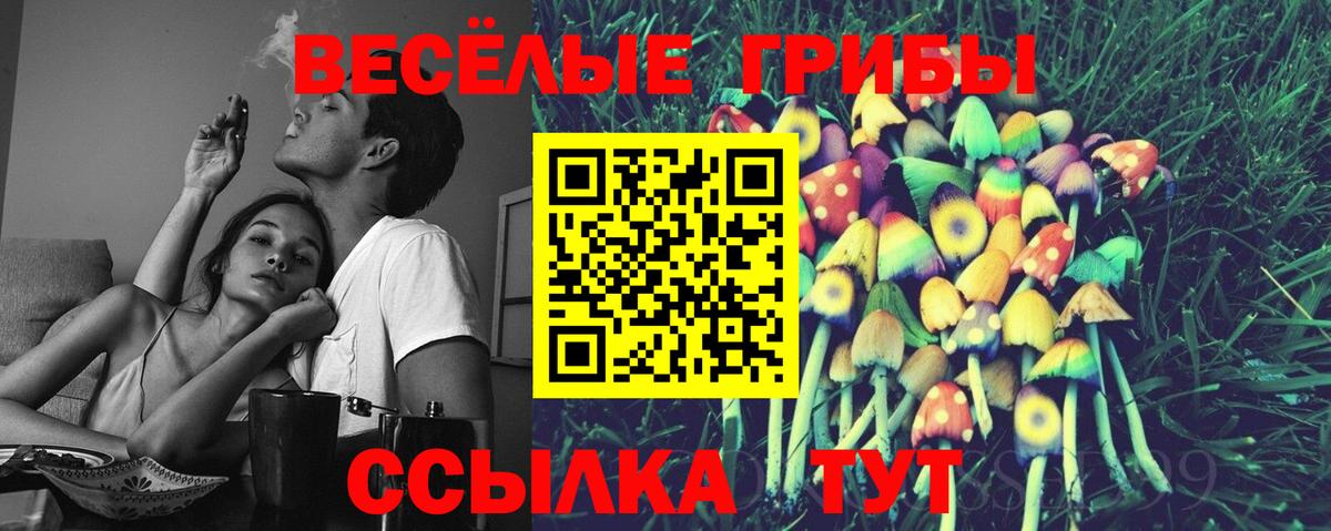 Псилоцибиновые грибы мицелий Будённовск
